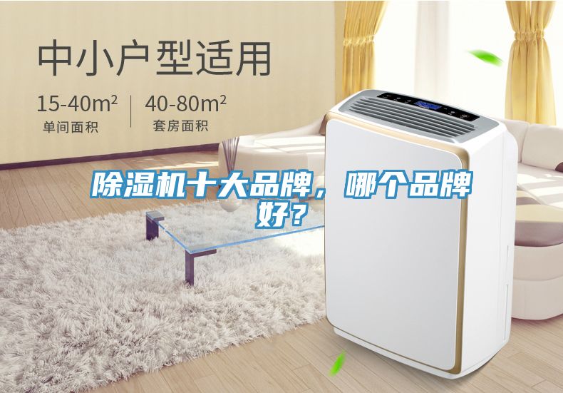除濕機十大品牌，哪個品牌好？