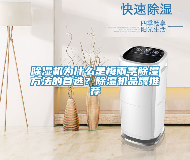 除濕機(jī)為什么是梅雨季除濕方法的首選？除濕機(jī)品牌推薦