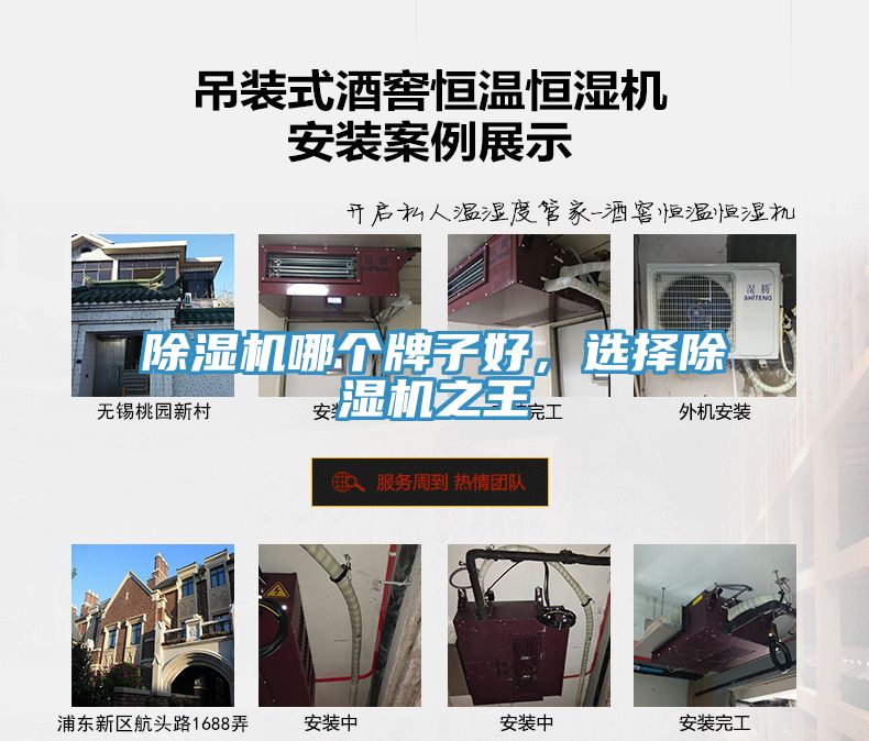 除濕機哪個牌子好，選擇除濕機之王