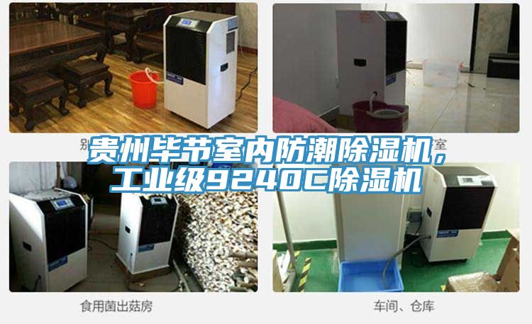 貴州畢節(jié)室內(nèi)防潮除濕機(jī)，工業(yè)級(jí)9240C除濕機(jī)