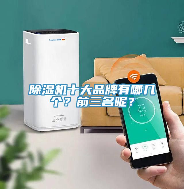 除濕機十大品牌有哪幾個？前三名呢？