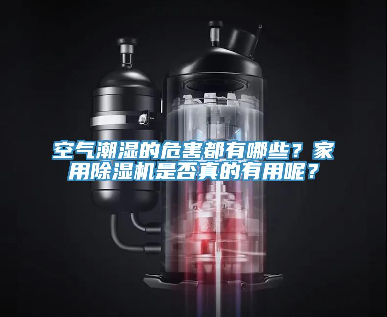 空氣潮濕的危害都有哪些？家用除濕機是否真的有用呢？