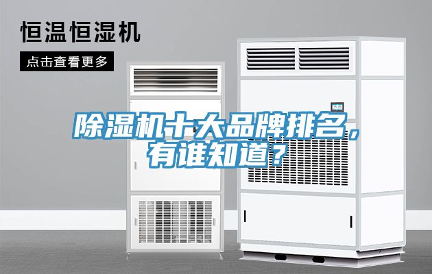 除濕機(jī)十大品牌排名，有誰(shuí)知道？