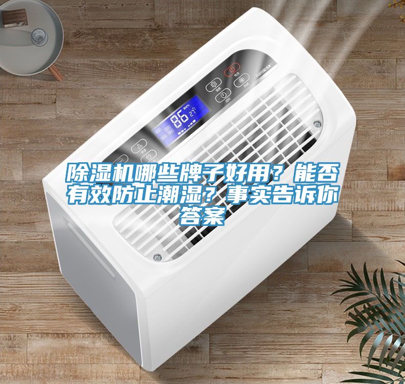 除濕機(jī)哪些牌子好用？能否有效防止潮濕？事實(shí)告訴你答案