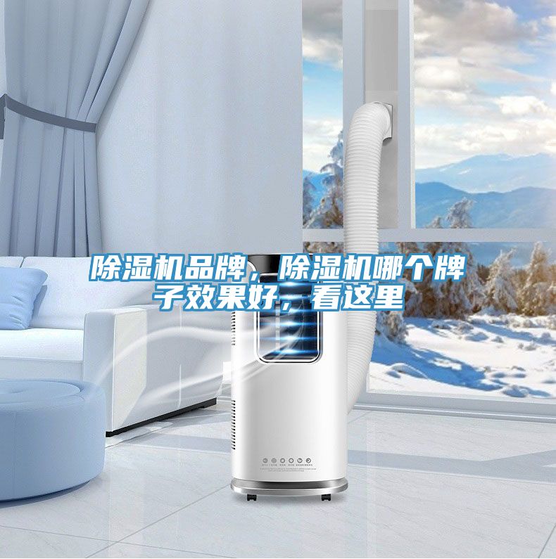 除濕機(jī)品牌，除濕機(jī)哪個(gè)牌子效果好，看這里