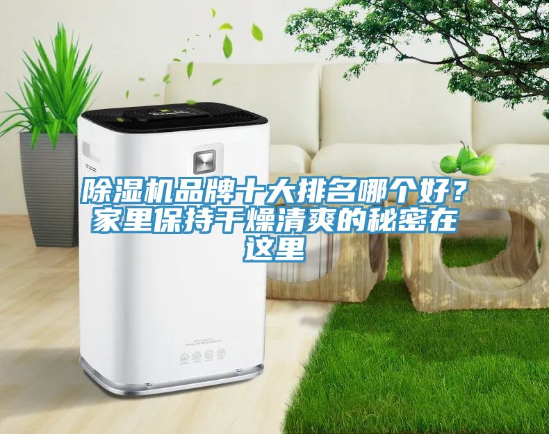 除濕機(jī)品牌十大排名哪個(gè)好？家里保持干燥清爽的秘密在這里