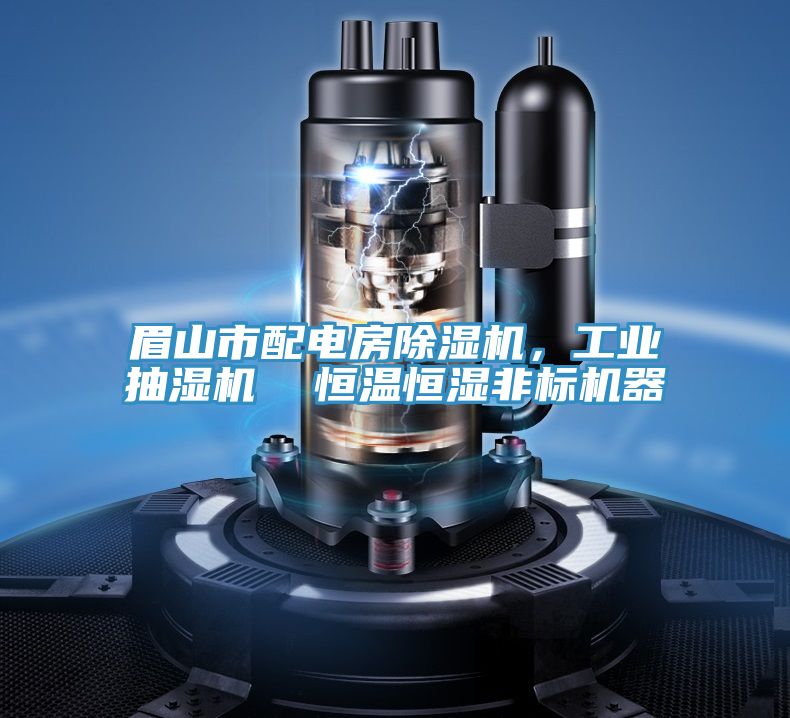 眉山市配電房除濕機，工業(yè)抽濕機  恒溫恒濕非標機器