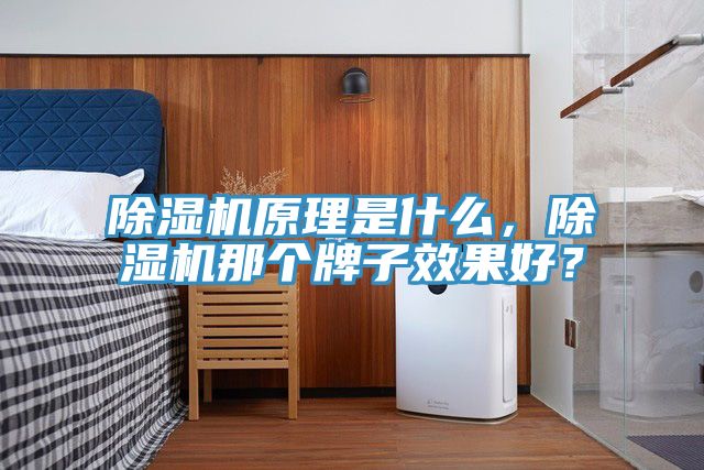 除濕機(jī)原理是什么，除濕機(jī)那個(gè)牌子效果好？