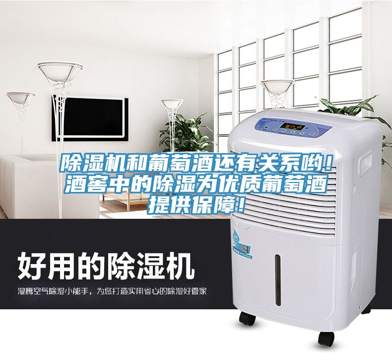 除濕機(jī)和葡萄酒還有關(guān)系喲！酒窖中的除濕為優(yōu)質(zhì)葡萄酒提供保障！