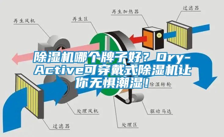 除濕機(jī)哪個(gè)牌子好？Dry-Active可穿戴式除濕機(jī)讓你無懼潮濕！