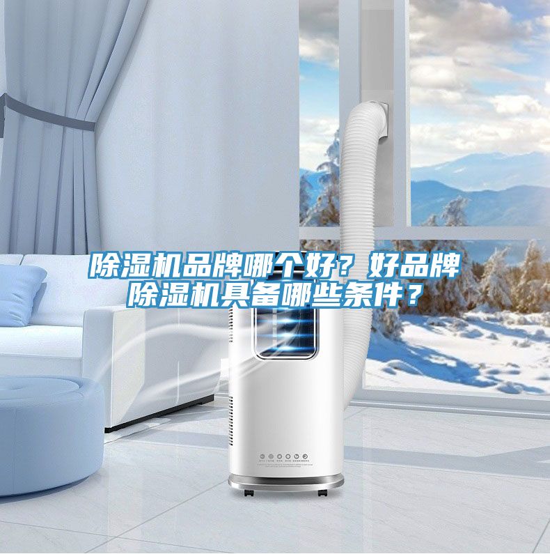 除濕機品牌哪個好？好品牌除濕機具備哪些條件？