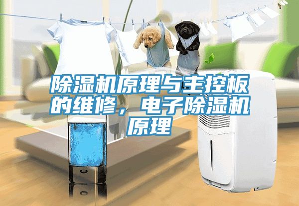 除濕機(jī)原理與主控板的維修，電子除濕機(jī)原理