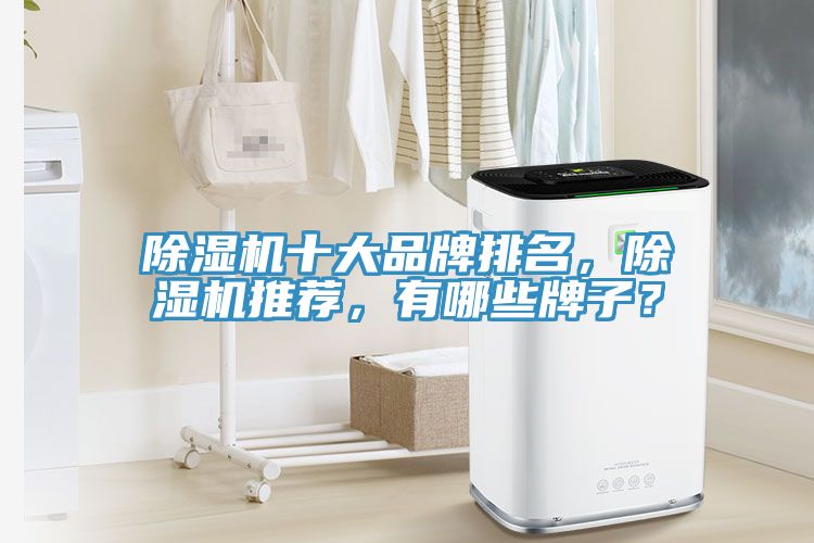 除濕機(jī)十大品牌排名，除濕機(jī)推薦，有哪些牌子？