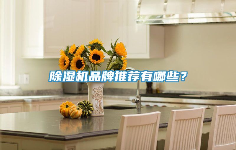 除濕機(jī)品牌推薦有哪些？