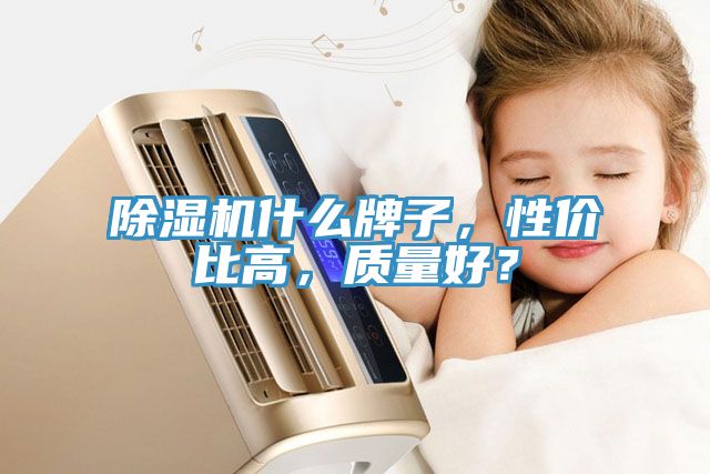 除濕機什么牌子，性價比高，質量好？