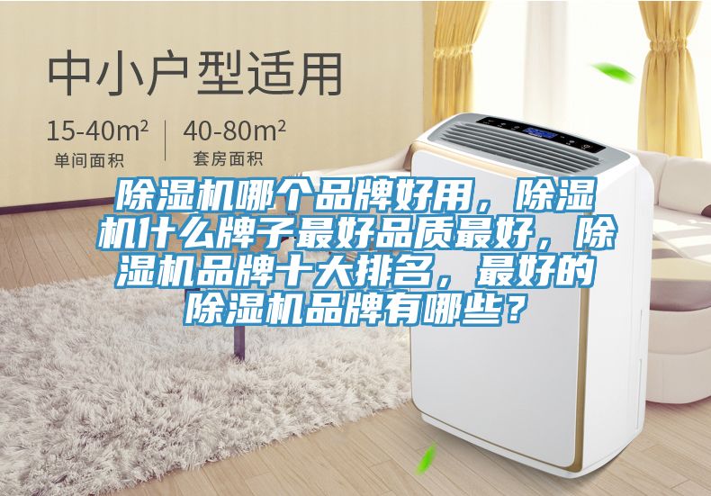 除濕機(jī)哪個(gè)品牌好用，除濕機(jī)什么牌子最好品質(zhì)最好，除濕機(jī)品牌十大排名，最好的除濕機(jī)品牌有哪些？