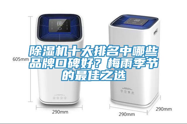 除濕機十大排名中哪些品牌口碑好？梅雨季節(jié)的最佳之選