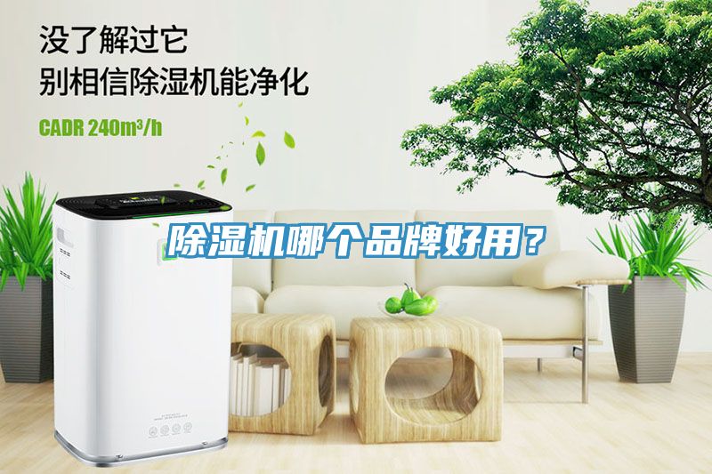 除濕機(jī)哪個(gè)品牌好用？