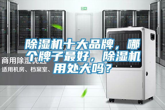 除濕機十大品牌，哪個牌子最好，除濕機用處大嗎？
