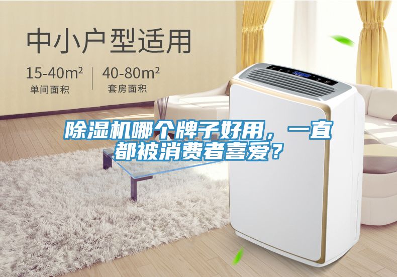 除濕機哪個牌子好用，一直都被消費者喜愛？