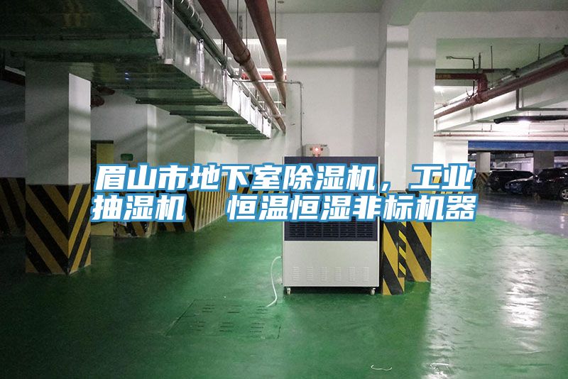 眉山市地下室除濕機，工業(yè)抽濕機  恒溫恒濕非標機器