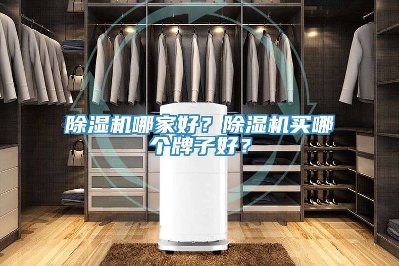 除濕機(jī)哪家好？除濕機(jī)買哪個(gè)牌子好？