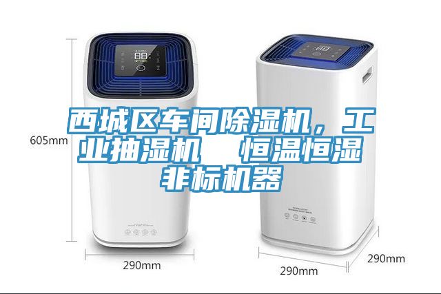 西城區(qū)車(chē)間除濕機(jī)，工業(yè)抽濕機(jī)  恒溫恒濕非標(biāo)機(jī)器