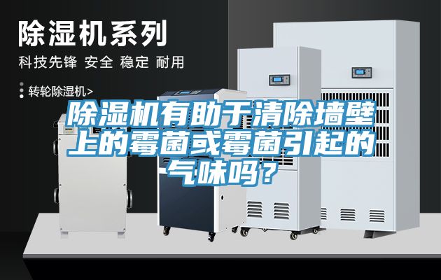 除濕機(jī)有助于清除墻壁上的霉菌或霉菌引起的氣味嗎？