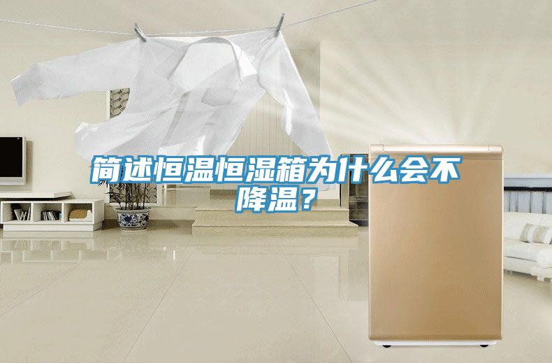 簡述恒溫恒濕箱為什么會不降溫？