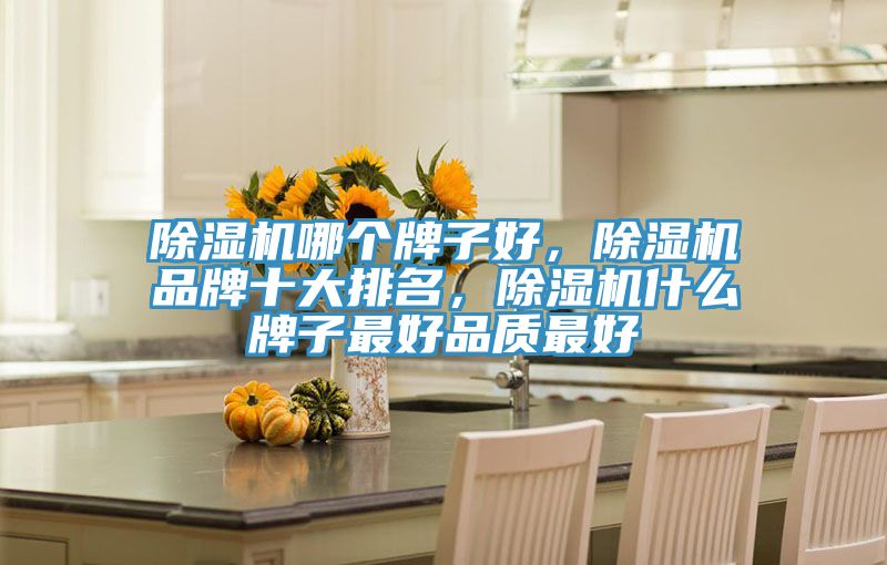 除濕機哪個牌子好，除濕機品牌十大排名，除濕機什么牌子最好品質最好