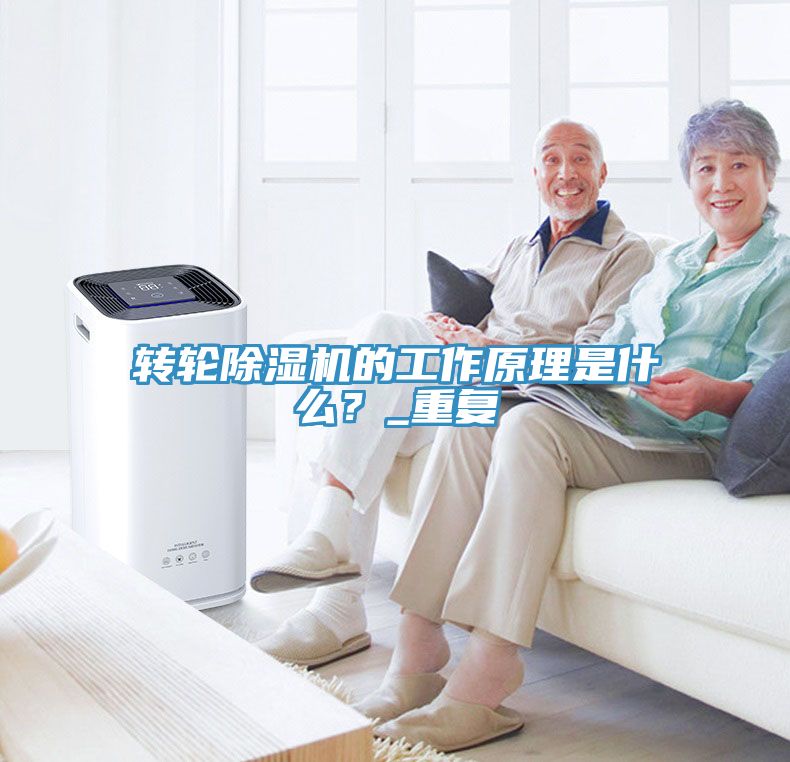轉輪除濕機的工作原理是什么？_重復