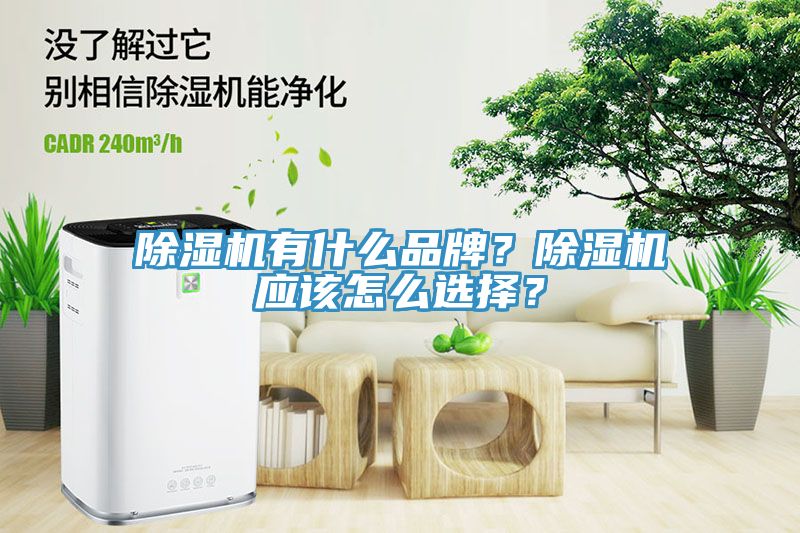 除濕機(jī)有什么品牌？除濕機(jī)應(yīng)該怎么選擇？