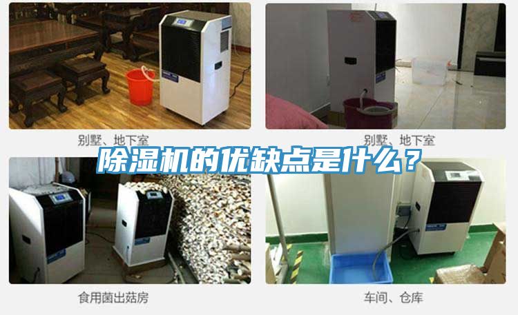 除濕機的優(yōu)缺點是什么？