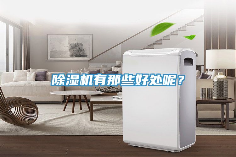 除濕機(jī)有那些好處呢？