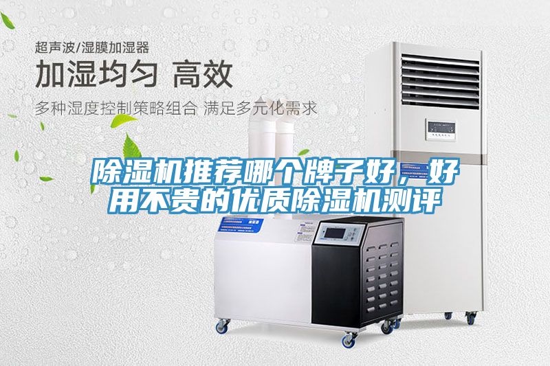 除濕機(jī)推薦哪個(gè)牌子好，好用不貴的優(yōu)質(zhì)除濕機(jī)測(cè)評(píng)