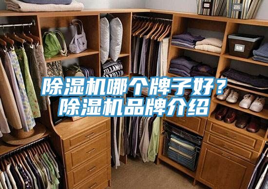 除濕機哪個牌子好？除濕機品牌介紹