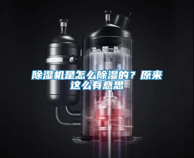 除濕機是怎么除濕的？原來這么有意思
