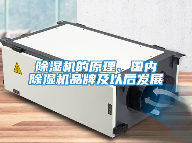 除濕機(jī)的原理、國(guó)內(nèi)除濕機(jī)品牌及以后發(fā)展