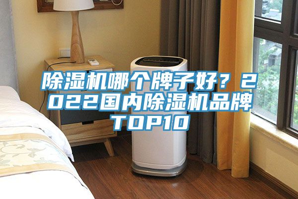 除濕機哪個牌子好？2022國內除濕機品牌TOP10