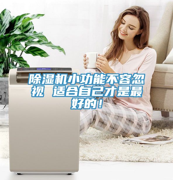 除濕機小功能不容忽視 適合自己才是最好的！
