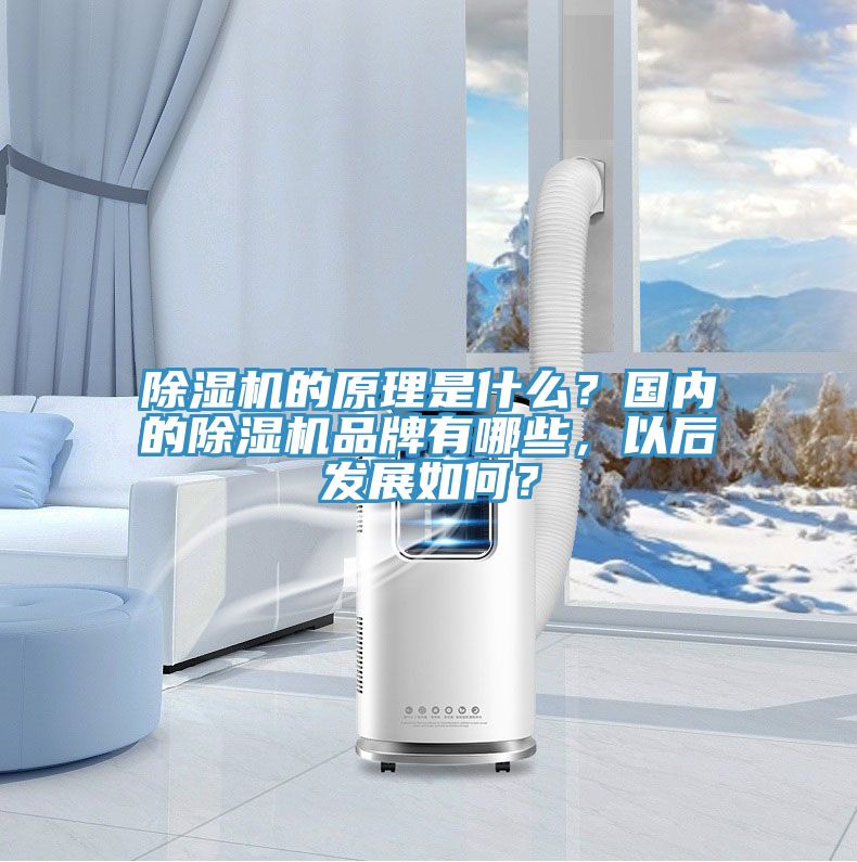 除濕機(jī)的原理是什么？國(guó)內(nèi)的除濕機(jī)品牌有哪些，以后發(fā)展如何？