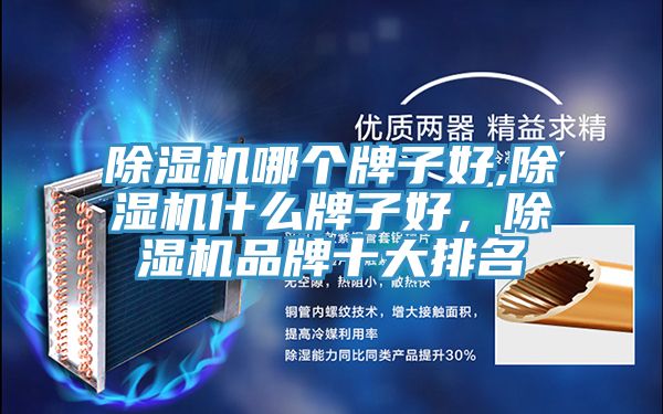 除濕機(jī)哪個(gè)牌子好,除濕機(jī)什么牌子好，除濕機(jī)品牌十大排名