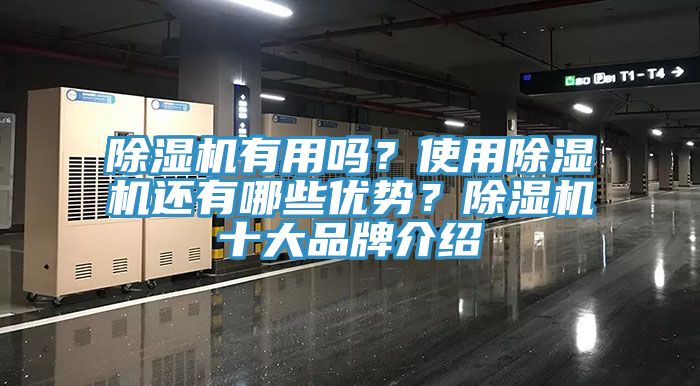除濕機(jī)有用嗎？使用除濕機(jī)還有哪些優(yōu)勢(shì)？除濕機(jī)十大品牌介紹
