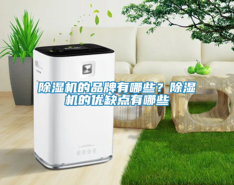 除濕機的品牌有哪些？除濕機的優(yōu)缺點有哪些