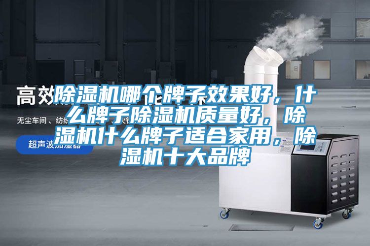 除濕機哪個牌子效果好，什么牌子除濕機質(zhì)量好，除濕機什么牌子適合家用，除濕機十大品牌