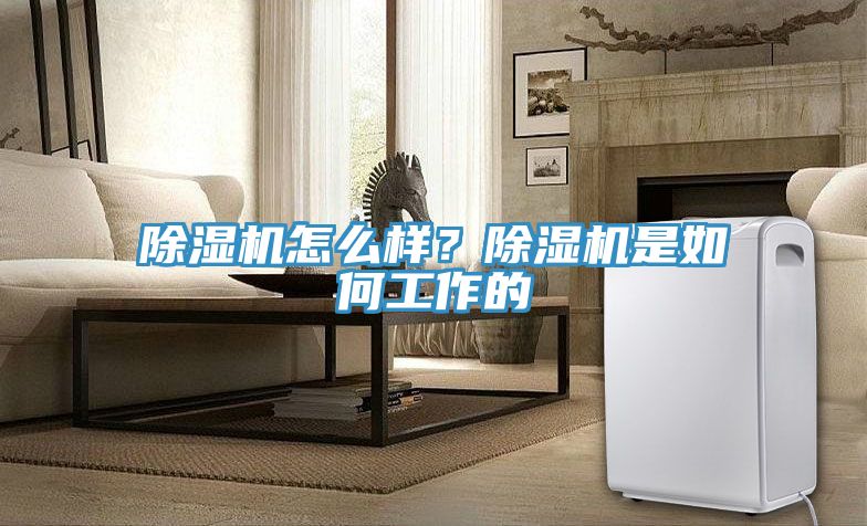 除濕機怎么樣？除濕機是如何工作的