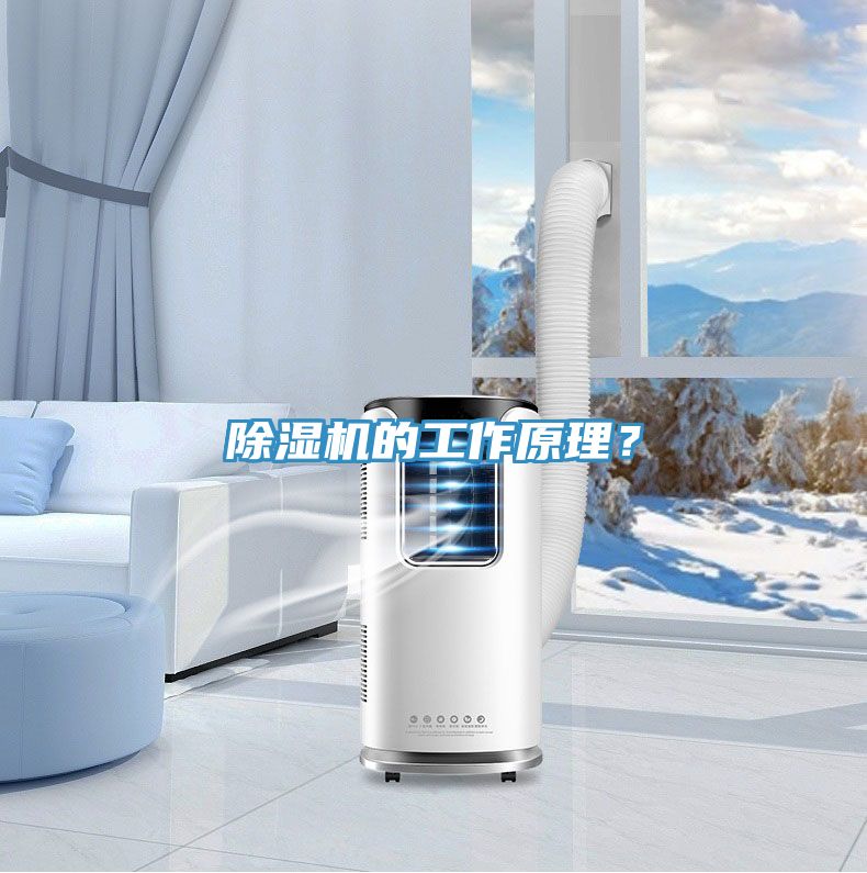 除濕機的工作原理？