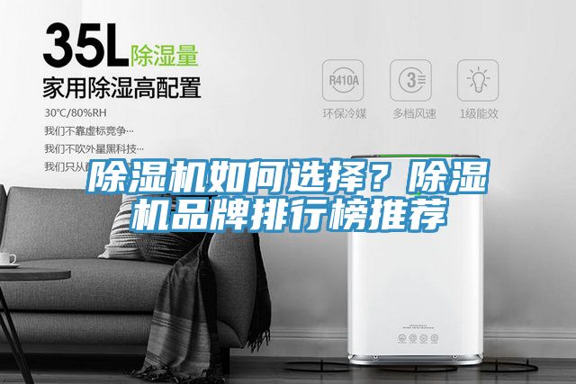 除濕機(jī)如何選擇？除濕機(jī)品牌排行榜推薦