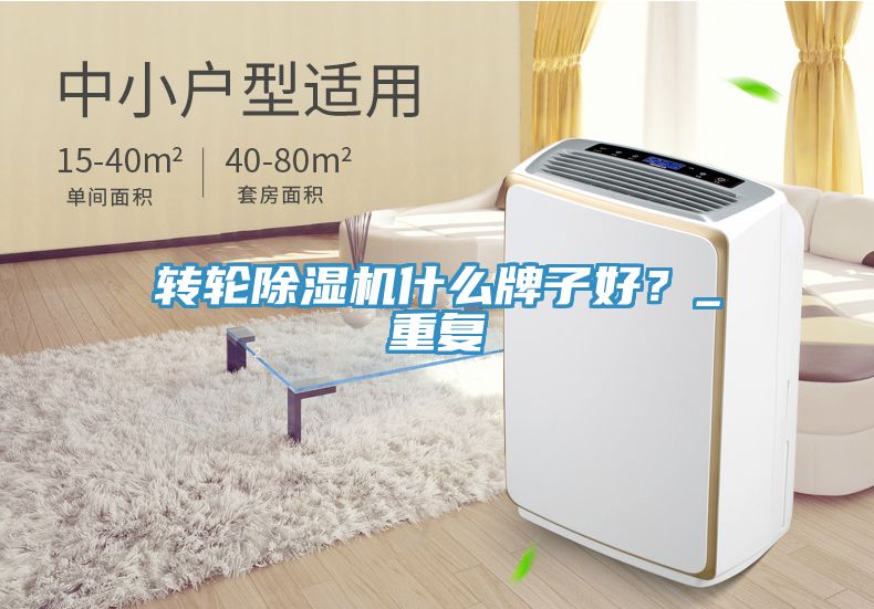 轉(zhuǎn)輪除濕機(jī)什么牌子好？_重復(fù)