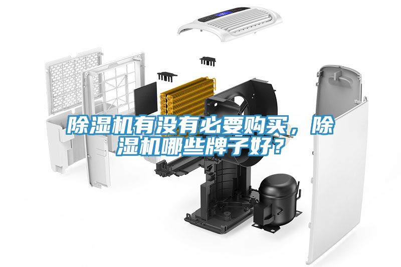 除濕機(jī)有沒(méi)有必要購(gòu)買(mǎi)，除濕機(jī)哪些牌子好？